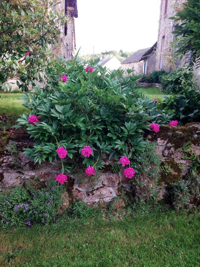 Village De Vie Saint-Vaury Esterno foto